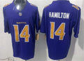 Men’s Baltimore Ravens #14 Kyle Hamilton Nike Purple Alternate Vapor F.U.S.E 2026 Next Flight Jersey