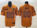 Men’s San Francisco 49ers Jerry Rice #80 Brown 2023 Salute To Service Retired Limited Jersey